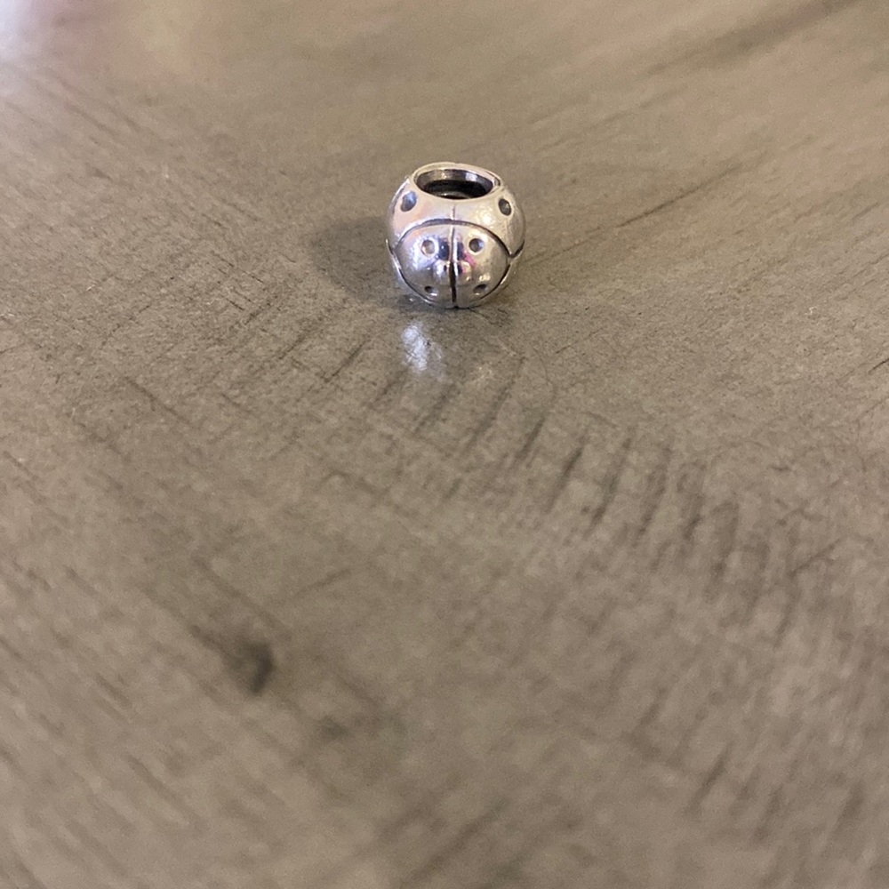 Pandora Ladybug Charm